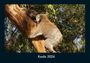 Tobias Becker: Koala 2026 Fotokalender DIN A4, KAL