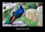 Tobias Becker: Vogelparadies 2026 Fotokalender DIN A3, KAL