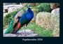 Tobias Becker: Vogelparadies 2026 Fotokalender DIN A4, KAL