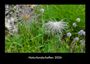 Tobias Becker: Naturlandschaften 2026 Fotokalender DIN A3, KAL