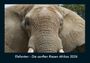 Tobias Becker: Elefanten - Die sanften Riesen Afrikas 2026 Fotokalender DIN A4, KAL