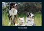 Tobias Becker: Hunde 2026 Fotokalender DIN A4, KAL