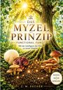 Text: Das Myzel Prinzip - Functional Fungi. Ein Baum mit Sonnenstrahlen und verschiedenen Pilzen am Boden.