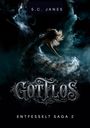 „S.C. Janes, Gottlos, Entfesselt Saga 2“. Dunkle, mystische Illustration mit zwei Gesichtern und tanzender Frau.
