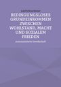 Axel Schneckener: Bedingungsloses Grundeinkommen zwischen Wohlstand, Macht und sozialem Frieden, Buch