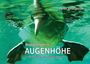 "Begegnungen in AUGENHÖHE" unten, "Peter Andryszak" oben. Ein Vogel taucht mit halb eingetauchtem Schnabel ins Wasser.