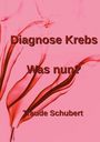 "Diagnose Krebs. Was nun?" Text in dunkler Schrift auf einem roten Hintergrund mit rauchartigen, geschwungenen Linien.
