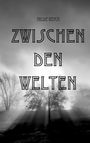 Hilde Reich: Zwischen Den Welten, Buch