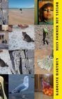"Mein Sommer mit Taylor. Karoline Harthun." Neun quadratische Bilder darunter, darunter eine Katze und eine Strandlandschaft.