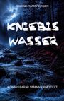 "Kniebis Wasser", Autorin Sabine Ramsperger. Szene: Ein dunkler Wald mit fließendem Bach und nebelverhangenem Himmel.