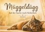 "Müggeldügg – Auf der Suche nach Sicherheit" von Lina Staudt. Illustration einer liegenden Katze auf einer Fensterbank.