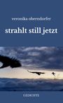 Veronika Oberndorfer, "strahlt still jetzt". Gedichte. Silhouetten von Vögeln fliegen über eine bewölkte, dämmernde Landschaft.