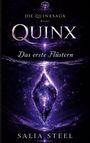 Salia Steel: Quinxsaga, Buch