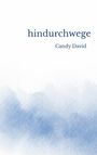 Candy David: Hindurchwege, Buch