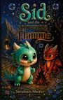 "Sid und die schwarze Flamme" und "Stephan Aberer". Zwei kleine, farbenfrohe Drachen neben einem Lagerfeuer, umgeben von Blumen.