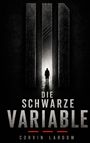 „Die schwarze Variable“, Corvin Lardow. Silhouette einer Person vor einer hellen Öffnung, umgeben von hohen, dunklen Strukturen.
