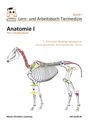 Titel: "Lern- und Arbeitsbuch Tiermedizin", "Anatomie I", "1.Semester Bewegungsapparat". Skelett eines Pferdes in Farbe.