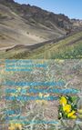Titel: "Photographic Guide to Vascular Plants of Mongolia and Adjacent Areas Vol. 2". Autoren: Michael H. Hauck u.a. Berglandschaft mit gelben Blumen.