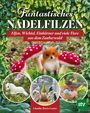 Claudia Marie Lenart: Fantastisches Nadelfilzen, Buch