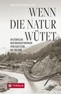 Manfred Schiechtl: Wenn die Natur wütet, Buch