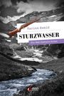 Karina Ewald: Sturzwasser, Buch