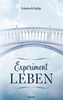 "Experiment LEBEN" von Eckehrardt Rathje. Eine elegante Steinbrücke vor blauem Himmel mit Wolken.