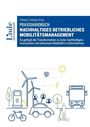 : Praxishandbuch Nachhaltiges betriebliches Mobilitätsmanagement, Buch