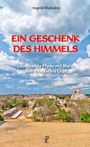 Ingrid Malzahn: Ein Geschenk des Himmels, Buch