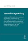 Rahel Simone Manetsch-Imholz: Verwahrungsvollzug, Buch