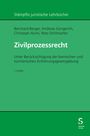 Bernhard Berger: Zivilprozessrecht, Buch