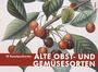 Text: "10 Kunstpostkarten ALTE OBST- UND GEMÜSESORTEN" und "ANACONDA". Illustration von Kirschzweig mit Blättern.