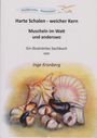 „Harte Schalen - weicher Kern. Muscheln im Watt und anderswo.“ Eine Illustration von Muscheln in natürlichen Farben.