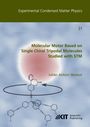 Julian Skolaut: Molecular Motor Based on Single Chiral Tripodal Molecules Studied with STM, Buch
