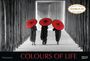 : Colours of Life 2025, KAL