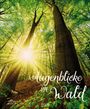 : Augenblicke im Wald 2025, KAL