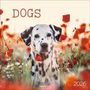 : Dogs 2026, KAL