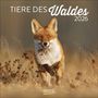 : Tiere des Waldes 2026, KAL