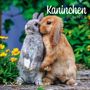 : Kaninchen 2026, KAL