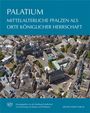 : Mittelalterliche Pfalzen als Orte königlicher Herrschaft, Buch
