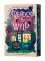 "Kathrin Tordasi: MEADOW & WYLD. DAS HERZ DES FAUNS. Illustration eines gemütlichen Cafés mit Silhouetten zweier Personen."