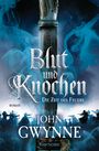 John Gwynne: Die Zeit des Feuers - Blut und Knochen 2, Buch