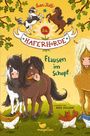 Suza Kolb: Die Haferhorde 01. Flausen im Schopf, Buch