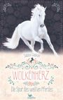 Sabine Giebken: Wolkenherz - Die Spur des weißen Pferdes, Buch