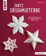 "Zarte Origamisterne" und "Edle Papiersterne von der Origami-Künstlerin Tomoko Fuse" stehen auf rotem Hintergrund mit Origami-Sternen.