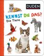 : Duden: 12+: Kennst du das? Die Tiere, Buch