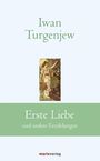 Iwan Sergejewitsch Turgenjew: Erste Liebe, Buch