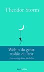 "Theodor Storm. Wohin du gehst, wohin du irrst. Notwendige feine Gedichte. Eine Silhouette klettert an einem Halbmond."