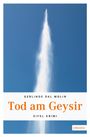 Gerlinde Dal Molin: Tod am Geysir, Buch