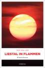 Ina Haller: Liestal in Flammen, Buch