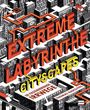 Thomas Radclyffe: Extreme Labyrinthe Cityscapes, Buch